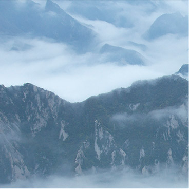 绿色轰炸工具版